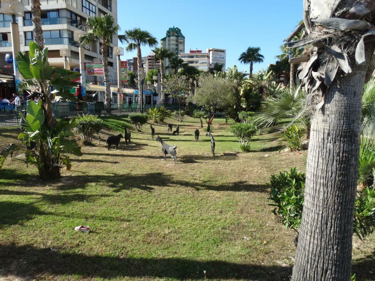 Apartment 2 Bedrooms, 250M Levante Beach Benidorm Exterior foto